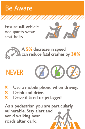 RoadSafetyPocketGuideExtract